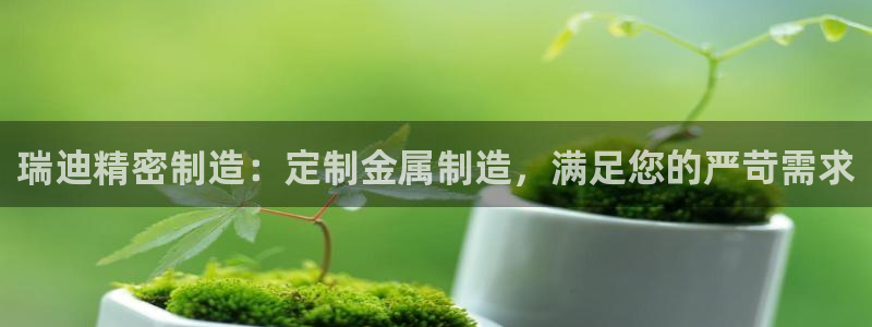 彩神xapp官方网站：瑞迪精密制造：定制金属制造，满足您的严苛需求