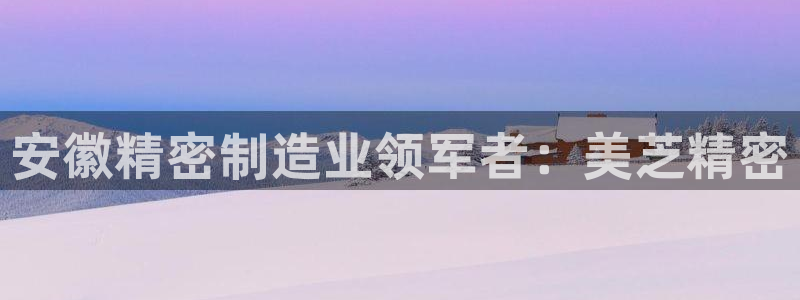 彩神v1破解器：安徽精密制造业领军者：美芝精密