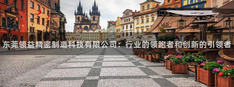 彩神通官网下载：东莞领益精密制造科技有限公司：行业的领跑者和创新的引领者