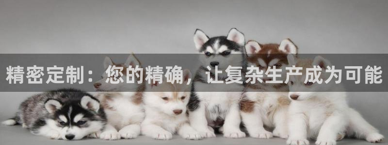 彩神购彩-购彩大厅入口下载：精密定制：您的精确，让复杂生产成为可能