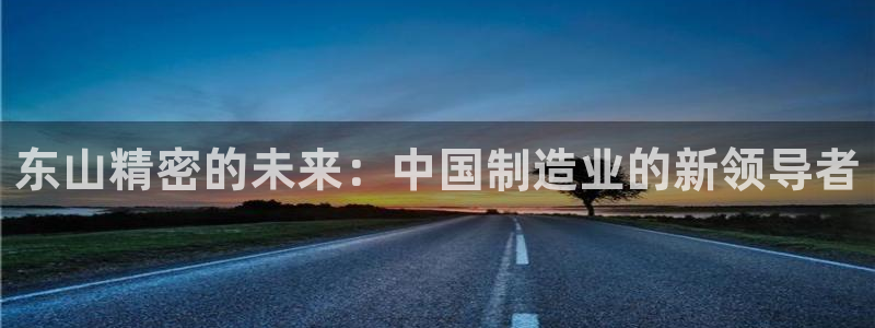 彩神争霸官方登录：东山精密的未来：中国制造业的新领导者