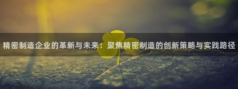 彩神平台：精密制造企业的革新与未来：聚焦精密制造的创新策略与实践路径