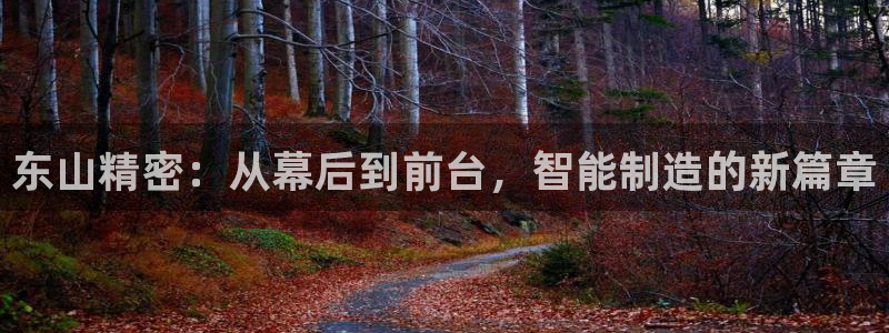 下载彩神通关注码：东山精密：从幕后到前台，智能制造的新篇章