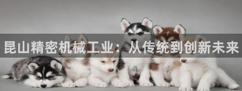 彩神购彩-购彩大厅入口：昆山精密机械工业：从传统到创新未来