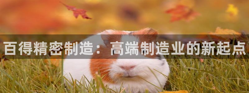 下载彩神v8：百得精密制造：高端制造业的新起点