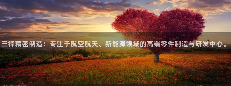 彩神购彩-购彩大厅入口500：三锋精密制造：专注于航空航天、新能源领域的高端零件制造与研发中心。