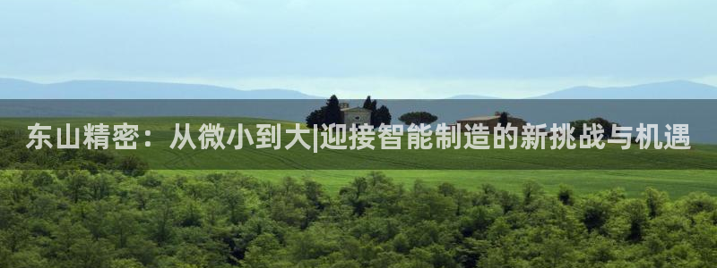 彩神网能赚钱是怎么回事：东山精密：从微小到大|迎接智能制造的新挑战与机遇