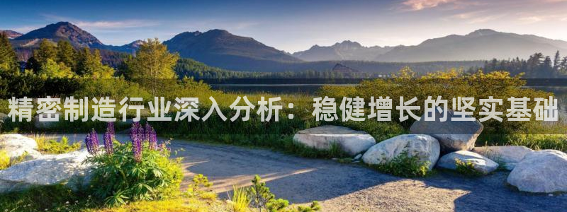 彩神8软件下载：精密