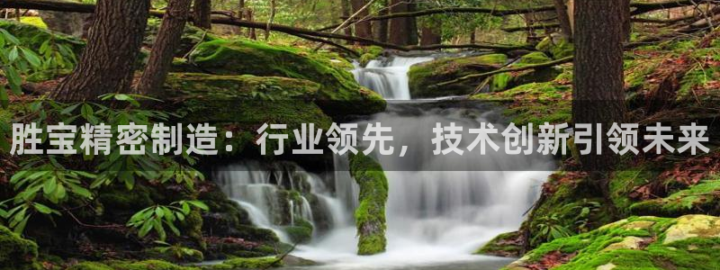 彩神ll能赚钱吗：胜