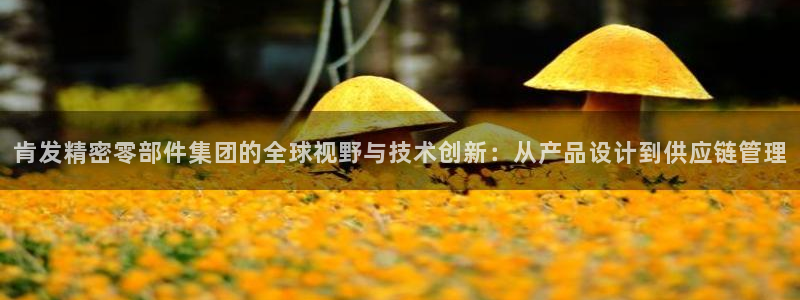 彩神大发云：肯发精密